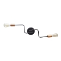 Surface-mounted chandelier TUBE 2xE27/15W/230V black