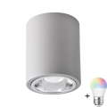 Светильник точечный диммируемый LED RGBW JUPITER 1xE27/6,5W/230V 2700-6500K Wi-Fi, диаметр 9,8 см, сірий