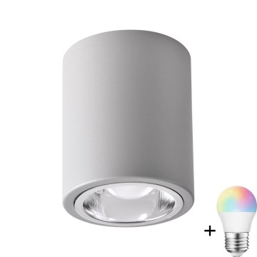 Светильник точечный диммируемый LED RGBW JUPITER 1xE27/6,5W/230V 2700-6500K Wi-Fi, диаметр 9,8 см, сірий