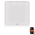Switch 1-button GoSmart 1xCR2430 Tuya white