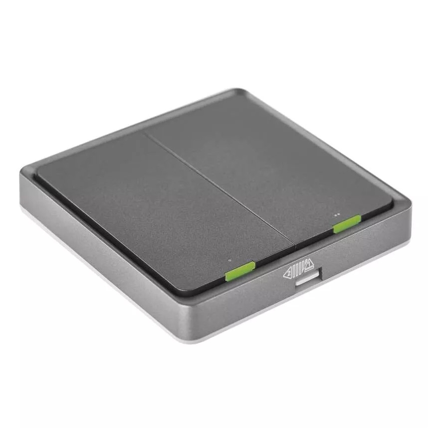 Switch 2-button GoSmart 1xCR2430 Tuya black
