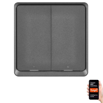 Switch 2-button GoSmart Tuya black