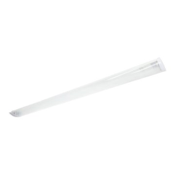 T8 DELFIA Fluorescent Fixture 2xG13/18W/230V 124 cm White
