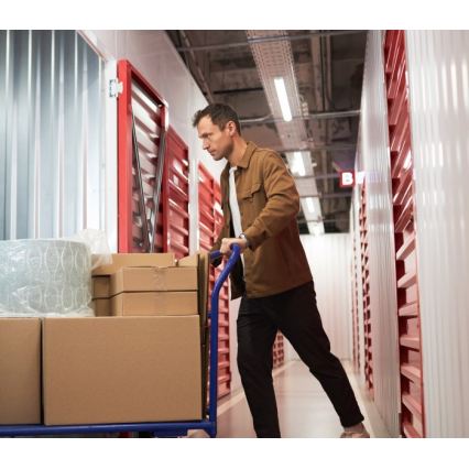 T8 DELFIA Fluorescent Fixture 2xG13/18W/230V 124 cm White