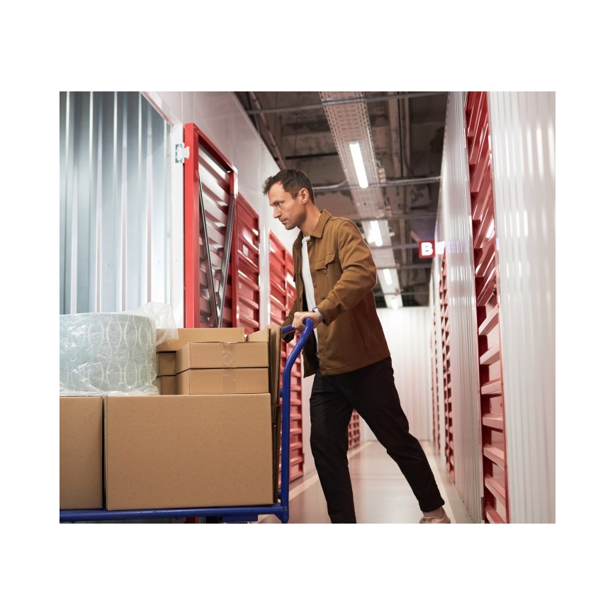 T8 DELFIA Fluorescent Fixture 2xG13/18W/230V 124 cm White