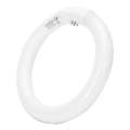 T9 Fluorescent Tube G10Q / 22W / 230V / 6500K - Aigostar