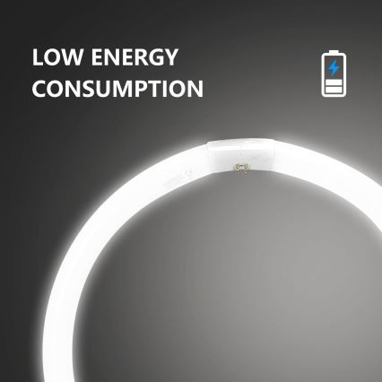 T9 Fluorescent Tube G10q/40W/230V 6500K - Aigostar