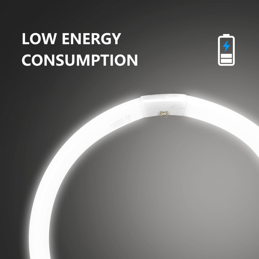 T9 Fluorescent Tube G10q/40W/230V 6500K - Aigostar