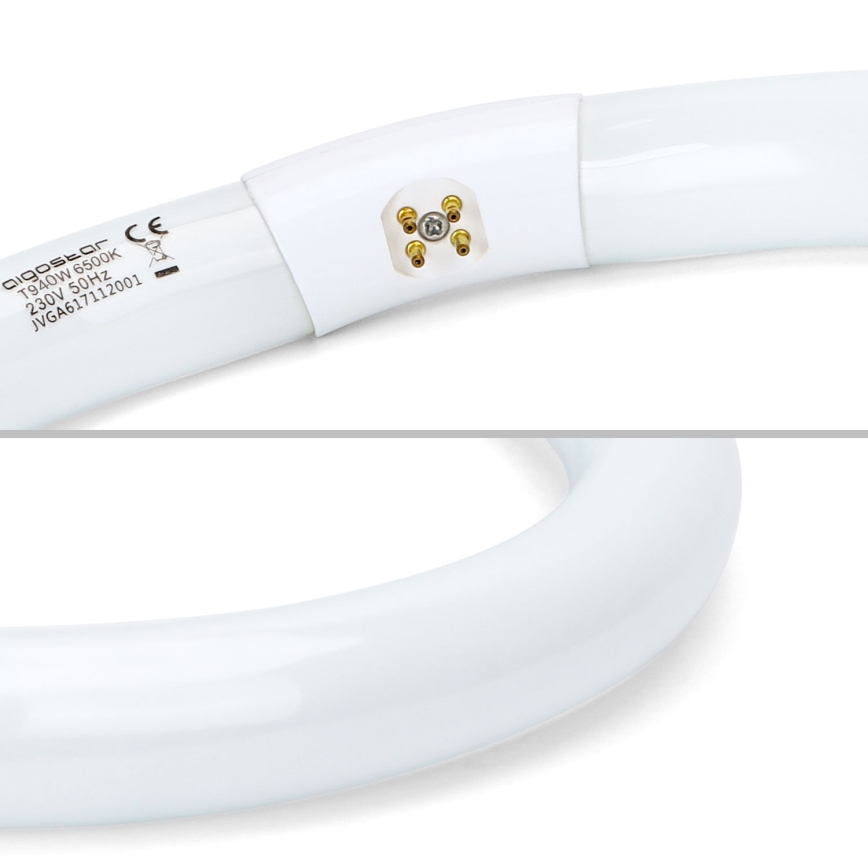 T9 Fluorescent Tube G10q/40W/230V 6500K - Aigostar