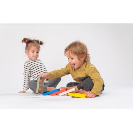 Taf Toys - Children's dominoes 4in1 animals