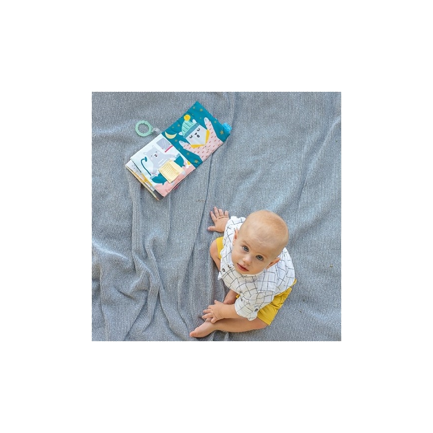 Taf Toys - Children's textile book bear