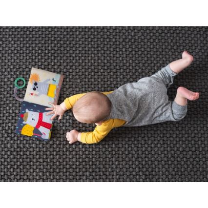 Taf Toys - Children's textile book bear