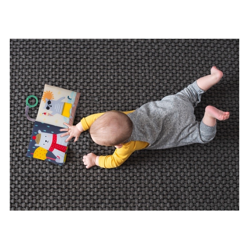 Taf Toys - Children's textile book bear