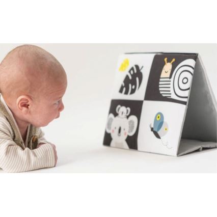 Taf Toys - Children's textile book with a mirror black