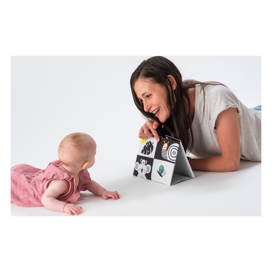 Taf Toys - Children's textile book with a mirror black