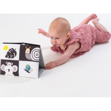 Taf Toys - Children's textile book with a mirror black