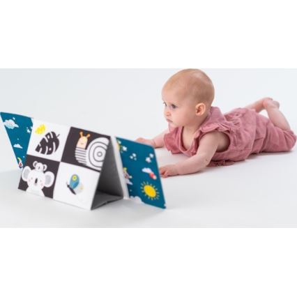 Taf Toys - Children's textile book with a mirror black