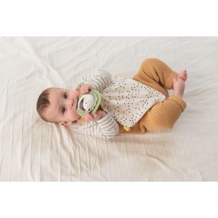 Taf Toys - Gift box HELLO BABY