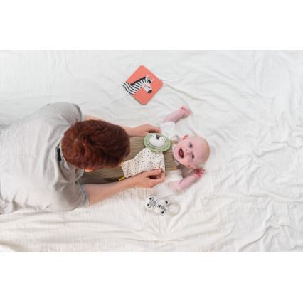 Taf Toys - Gift box HELLO BABY