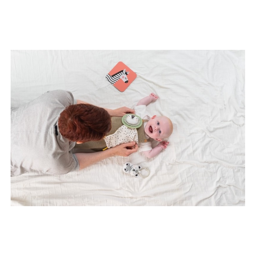 Taf Toys - Gift box HELLO BABY