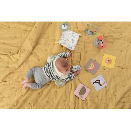 Taf Toys - Gift box HELLO BABY