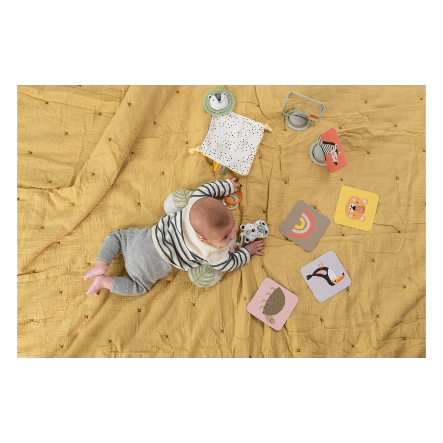 Taf Toys - Gift box HELLO BABY