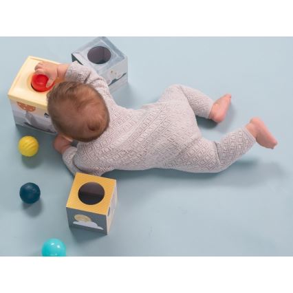 Taf Toys - Interactive play set North pole