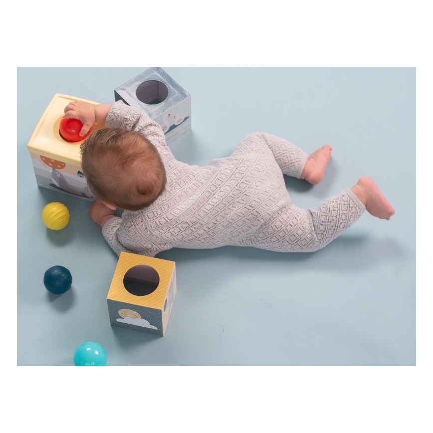 Taf Toys - Interactive play set North pole