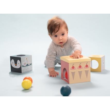 Taf Toys - Interactive play set North pole