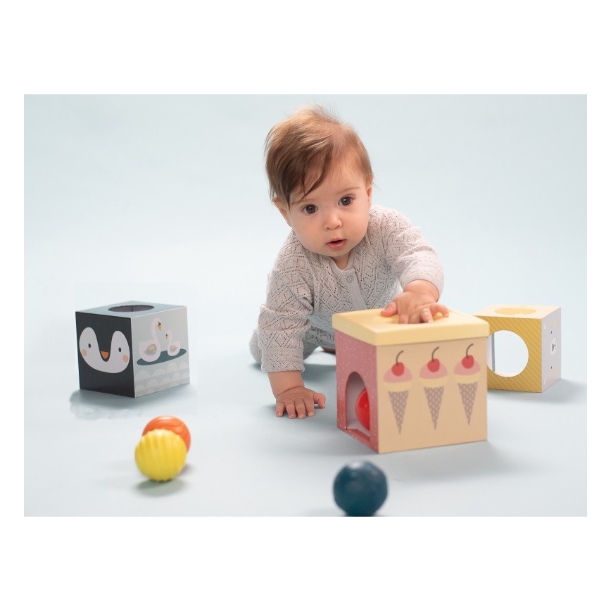 Taf Toys - Interactive play set North pole