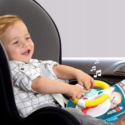Taf Toys - Koala car wheel toy