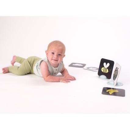 Taf Toys - Tummy time cards 18 pcs