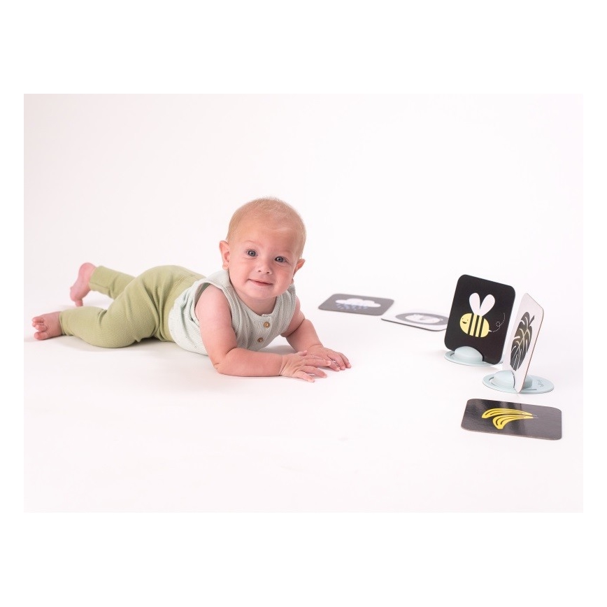 Taf Toys - Tummy time cards 18 pcs