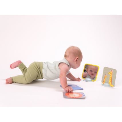 Taf Toys - Tummy time cards 18 pcs