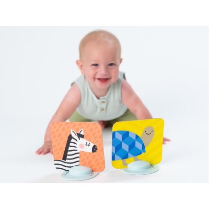 Taf Toys - Tummy time cards 18 pcs