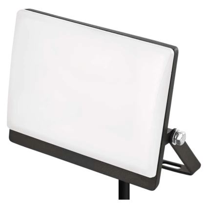 TAMBO EVO LED Floodlight 20W/230V 4000K IP65 Black