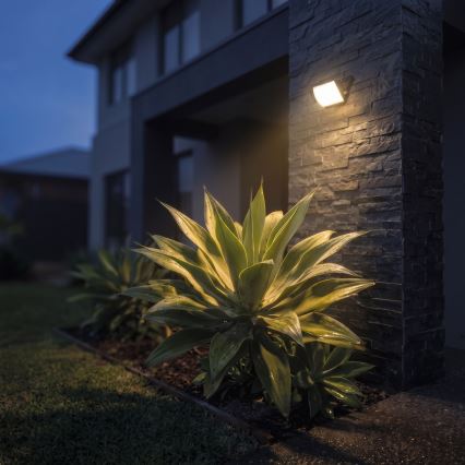 TAMBO EVO LED Floodlight LED/10W/230V 4000K IP65 Black