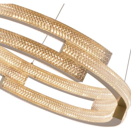 TARJA LED pendant on cable, LED/36W/230V, 3000/4000/6000K, Ø60 cm, gold