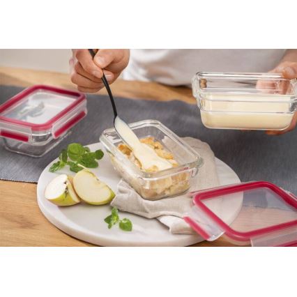 Tefal - 1.1 L MSEAL GLASS Food Storage Container, Red/glass