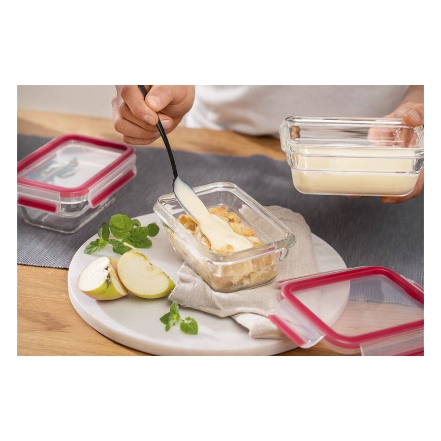 Tefal - 1.1 L MSEAL GLASS Food Storage Container, Red/glass