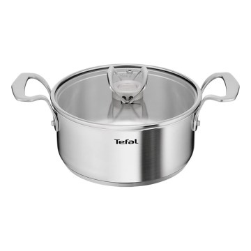 Tefal - EXTREME 20 cm Pot with Lid