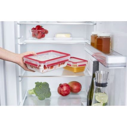 Tefal - Food storage container 0.85 L MSEAL GLASS red/glass