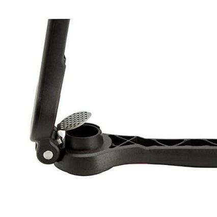 Tefal - Garlic press INGENIO black