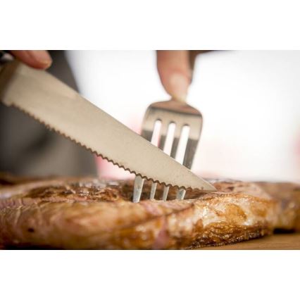 Tefal - ICE FORCE 11 cm Stainless-Steel Steak Knife Set, Polished Chrome/Black, 4-piece