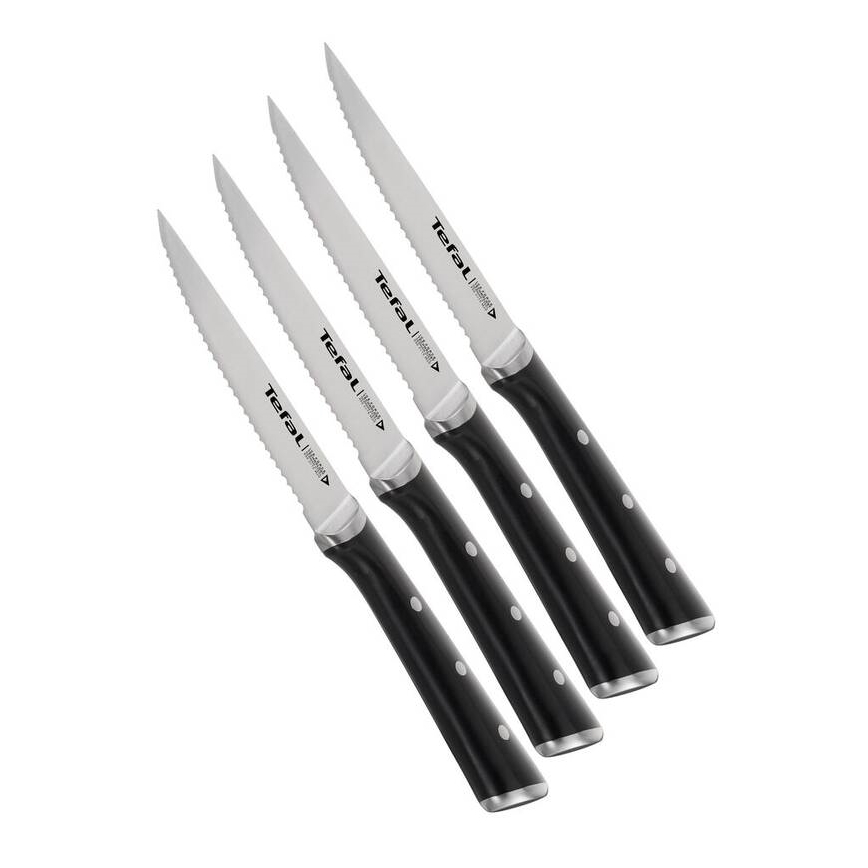 Tefal - ICE FORCE 11 cm Stainless-Steel Steak Knife Set, Polished Chrome/Black, 4-piece