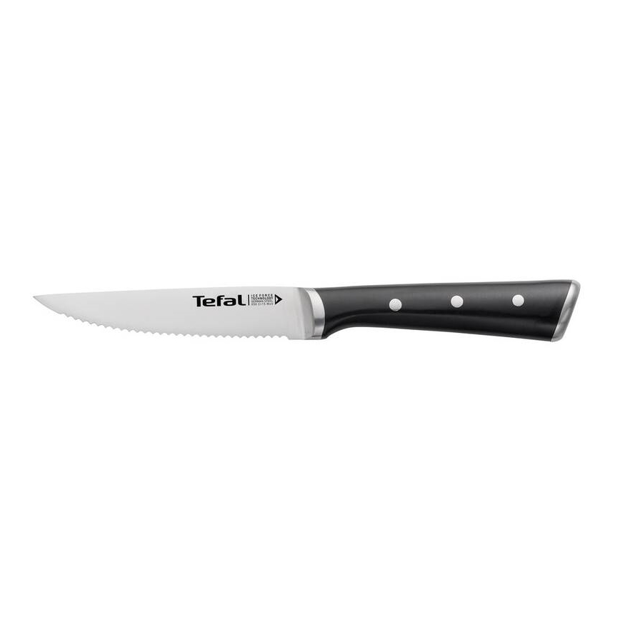 Tefal - ICE FORCE 11 cm Stainless-Steel Steak Knife Set, Polished Chrome/Black, 4-piece