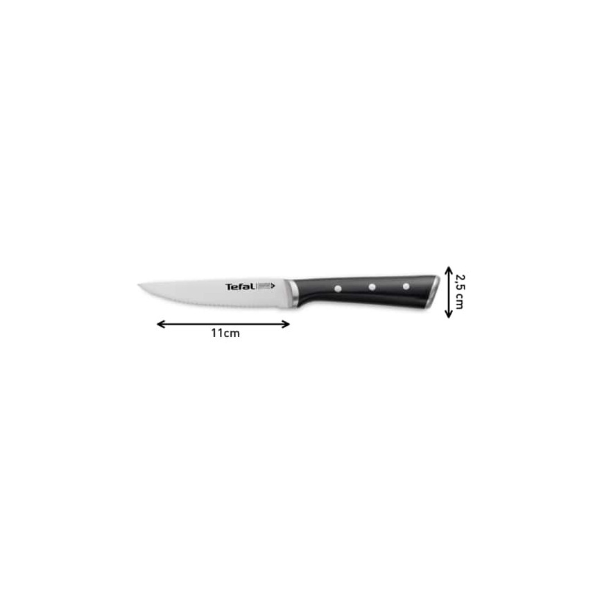 Tefal - ICE FORCE 11 cm Stainless-Steel Steak Knife Set, Polished Chrome/Black, 4-piece