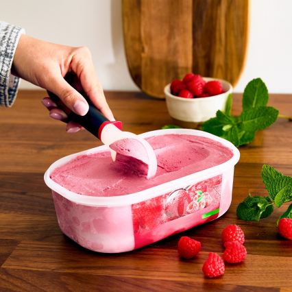 Tefal - INGENIO Ice Cream Scoop