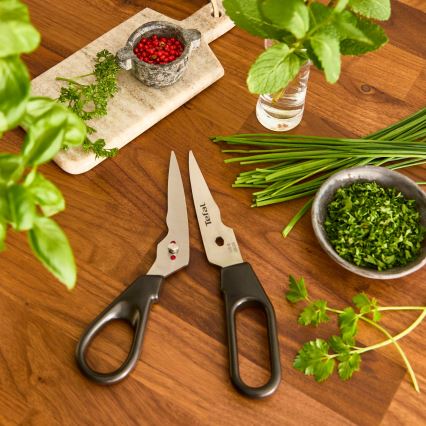 Tefal - INGENIO Kitchen Shears