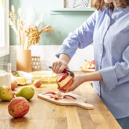 Tefal - Kitchen peeler INGENIO stainless steel/black